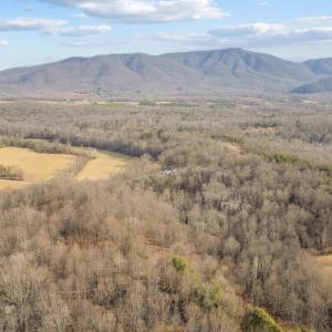 Photo #70 of 1509 Tolley Meadow Road, Big Island, VA 30.8 acres