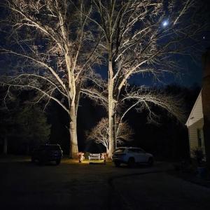 Photo #91 of 327 Hans Hill Drive, Madison Heights, VA 2.7 acres