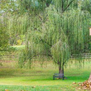 Photo #58 of 327 Hans Hill Drive, Madison Heights, VA 2.7 acres