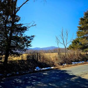 Photo #7 of 2066 Turkey Mountain Rd, Amherst, VA 1.4 acres