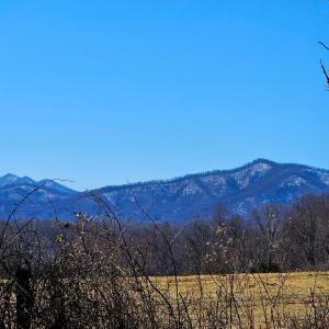 Photo #6 of 2066 Turkey Mountain Rd, Amherst, VA 1.4 acres