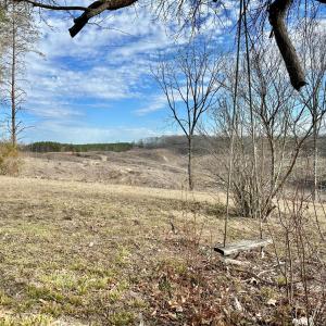 Photo #17 of 2269 McIver Ferry Rd, Gladys, VA 1.0 acres