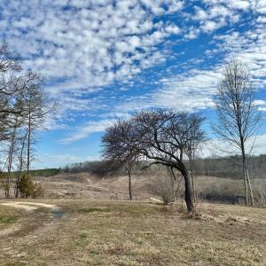 Photo #14 of 2269 McIver Ferry Rd, Gladys, VA 1.0 acres