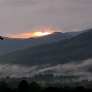 Photo #80 of 2416 Lowesville Road, Amherst, VA 5.9 acres