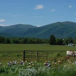 Photo #89 of 2416 Lowesville Road, Amherst, VA 5.9 acres