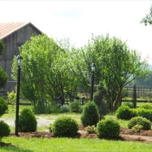 Photo #87 of 2416 Lowesville Road, Amherst, VA 5.9 acres