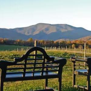 Photo #91 of 2416 Lowesville Road, Amherst, VA 5.9 acres