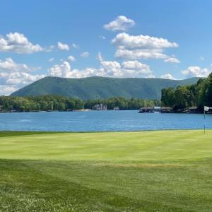 Photo #54 of 1037 Whitetail Drive, Huddleston, VA 1.5 acres