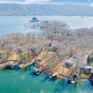 Photo #95 of 104 Arbor Lane, Huddleston, VA 0.8 acres