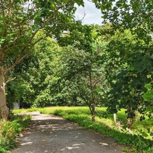 Photo #38 of 40 Rowse, Lynchburg, VA 0.1 acres