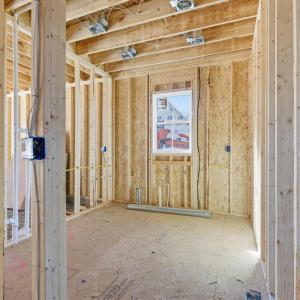 Walk-in laundry room.