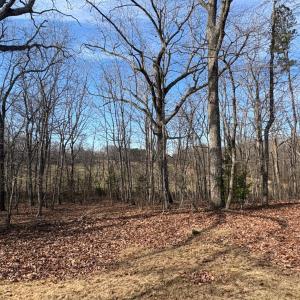 Photo #37 of 111 Oaklawn Terrace, Gretna, VA 5.2 acres