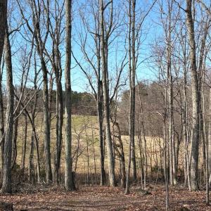 Photo #38 of 111 Oaklawn Terrace, Gretna, VA 5.2 acres