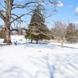 Photo #65 of 1161 Dogwood Hills Drive, Goode, VA 5.8 acres