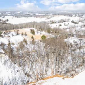 Photo #82 of 1161 Dogwood Hills Drive, Goode, VA 5.8 acres