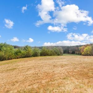 Photo #38 of 10578 Leesville Road, Lynch Station, VA 1.3 acres