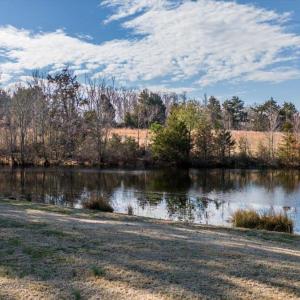 Photo #16 of 627 Hat Creek Road, Brookneal, VA 112.2 acres