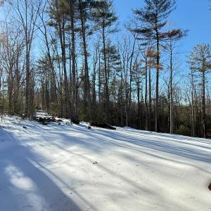 Photo #7 of 116 Blue Sky Court, Monroe, VA 2.1 acres