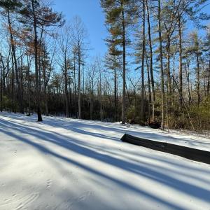 Photo #40 of 116 Blue Sky Court, Monroe, VA 2.1 acres