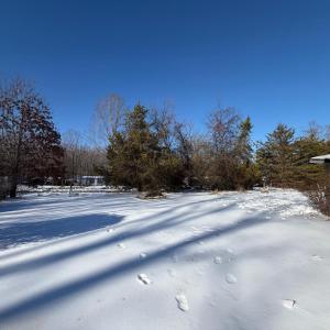 Photo #10 of 1034 Double Bridges Road, Spout Spring, VA 5.1 acres