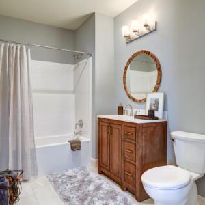 Newly completed lower level full bath.