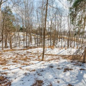 Photo #58 of 109 Deertrack Drive, Forest, VA 2.1 acres