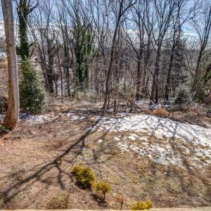 Photo #49 of 809 Byrd Street, Lynchburg, VA 0.5 acres