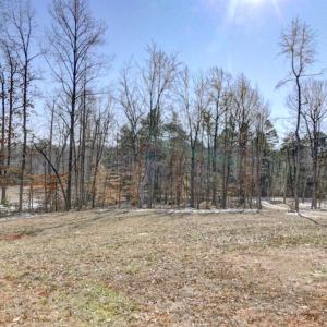 Photo #41 of 416 Mimosa Lane, Rustburg, VA 2.2 acres