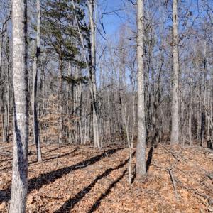 Photo #35 of 416 Mimosa Lane, Rustburg, VA 2.2 acres