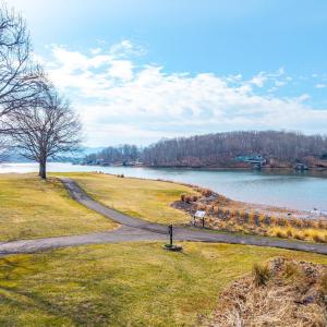 Photo #59 of 105 Fawn Haven Lane, Huddleston, VA 0.0 acres