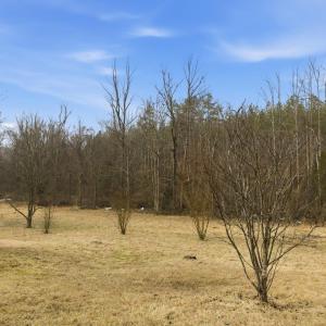 Photo #21 of 1194 Pumping Station, Spout Spring, VA 2.0 acres
