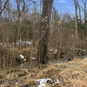 Photo #24 of 1194 Pumping Station, Spout Spring, VA 2.0 acres