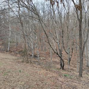 Photo #55 of 4183 TYE RIVER Road, Amherst, VA 5.0 acres
