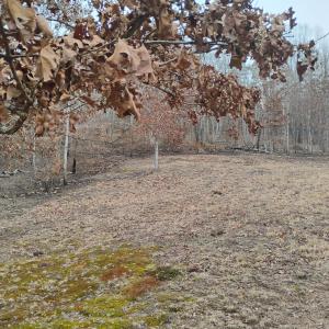 Photo #47 of 4183 TYE RIVER Road, Amherst, VA 5.0 acres