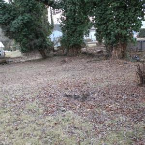 Photo #16 of 913 Dearing Street, Lynchburg, VA 0.1 acres