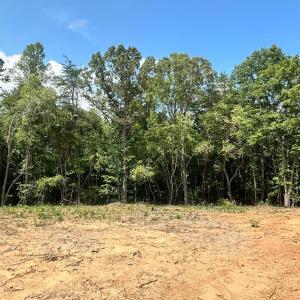 Photo #13 of 16 Somerset Drive, Appomattox, VA 1.7 acres