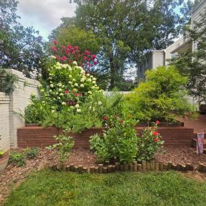 Photo #52 of 3906 Royal Boulevard, Lynchburg, VA 0.2 acres