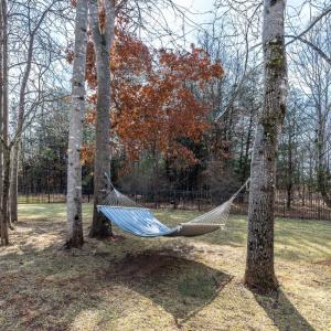 Photo #65 of 1118 carnegie Place, Forest, VA 1.0 acres