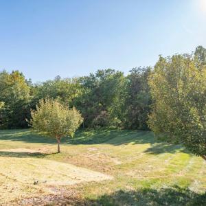 Photo #47 of 1175 Helmsdale Drive, Forest, VA 0.2 acres