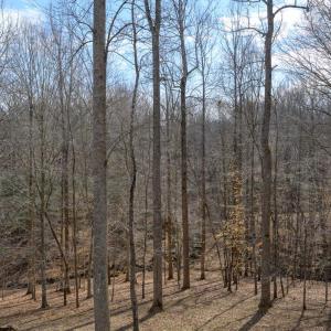 Photo #58 of 425 Harvest Court, Lynchburg, VA 1.0 acres