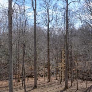 Photo #56 of 425 Harvest Court, Lynchburg, VA 1.0 acres
