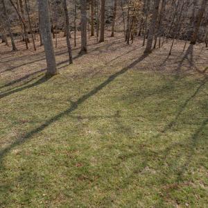 Photo #59 of 425 Harvest Court, Lynchburg, VA 1.0 acres