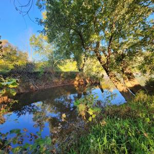 Photo #42 of 643 River Bottom Lane, Concord, VA 15.0 acres