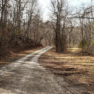 End of River Bottom Lane from the Gate where the property begins.