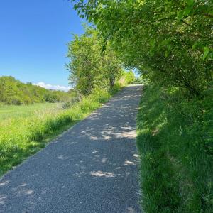 Photo #54 of 223 Portico Street, Lynchburg, VA 0.0 acres