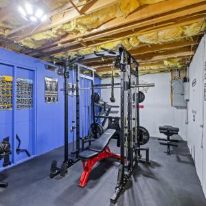 Basement level home gym