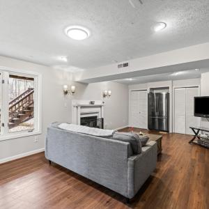 Basement level living area