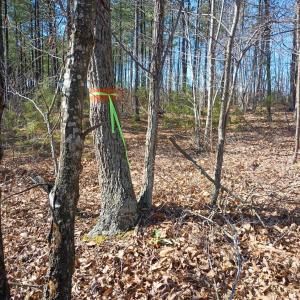 Photo #73 of 3901 Midland Rd, Wingina, VA 6.4 acres