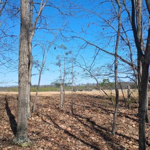 Photo #69 of 3901 Midland Rd, Wingina, VA 6.4 acres