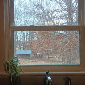 Photo #29 of 3901 Midland Rd, Wingina, VA 6.4 acres